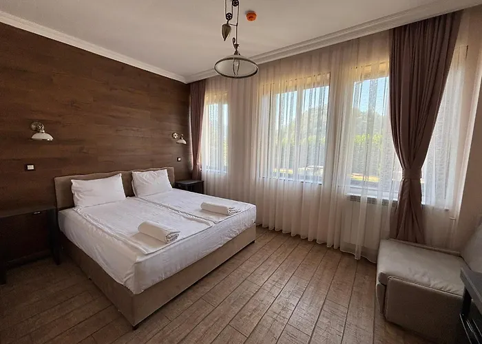 Hotel Irina - *